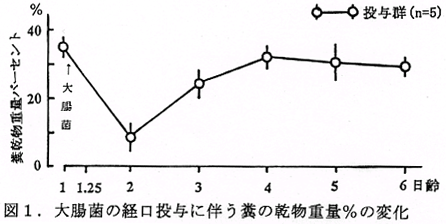 図1 大腸菌の経口投与に伴う糞の乾物重量%の変化