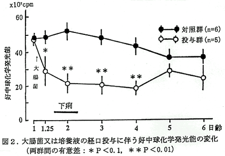 図2 大腸菌又は培養液の経口投与に伴う好中球化学発光能の変化