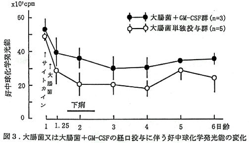 図3 大腸菌又は大腸菌+GM-CSFの経口投与に伴う好中球化学発光能の変化