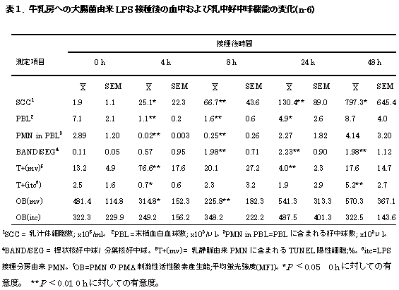 表1 牛乳房への大腸由来LPS摂取後の血中および乳中好中球機能の変化