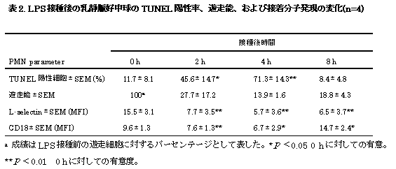 表2 LPS接種後の乳静脈好中球のTUNEL陽性率、遊走能、および接着分子発現の変化