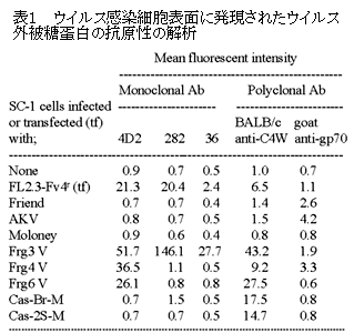 表1 ウイルス感染細胞表面に発現されたウイルス外被糖蛋白の抗原性の解析