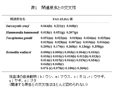 表1 関連原虫との交叉性