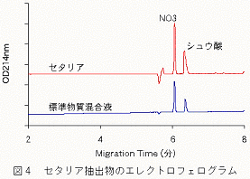 図4 セタリア抽出物のエレクトロフェログラム