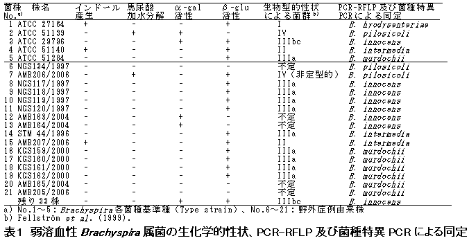 表1 弱溶血性Brachyspira属菌の生化学的性状、PCR-RFLP及び菌種特異PCRによる同定