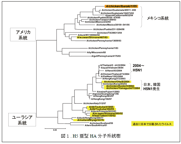 図1. H5亜型HA分子系統樹
