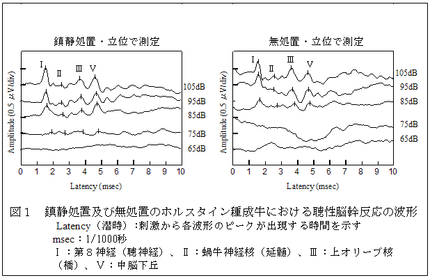 図1 鎮静処置及び無処置のホルスタイン種成牛における聴性脳幹反応の波形