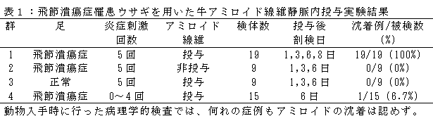 表1:飛節潰瘍症罹患ウサギを用いた牛アミロイド線維静脈内投与実験結果