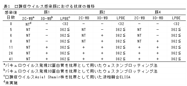 表1 口蹄疫ウイルス感染豚における抗体の推移