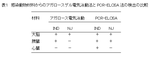 表1 感染動物材料からのアガロースゲル電気泳動法とPCR-ELOSA法の検出の比較