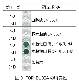 図3 PCR-ELOSAの特異性
