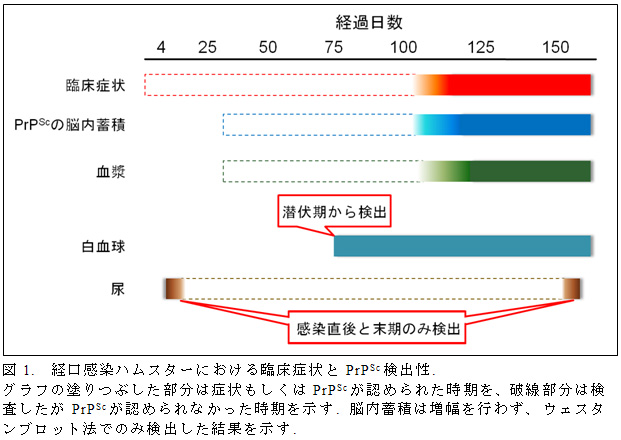 図1. 経口感染ハムスターにおける臨床症状とPrPSc検出性.