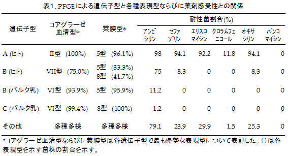 表1. PFGEによる遺伝子型と各種表現型ならびに薬剤感受性との関係