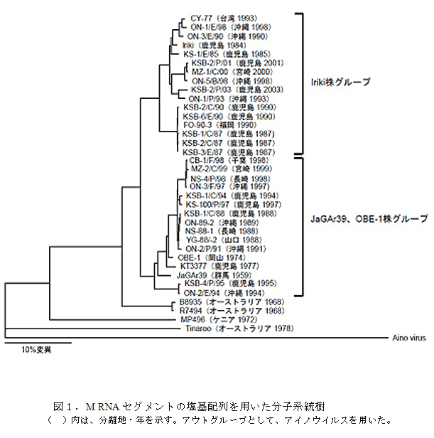 図1.M RNAセグメントの塩基配列を用いた分子系統樹