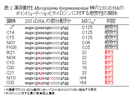 表2. 薬剤耐性Mycoplasma hyopneumoniae 株の23S rDNAのポイントミューテーションとタイロシンに対する感受性の関係