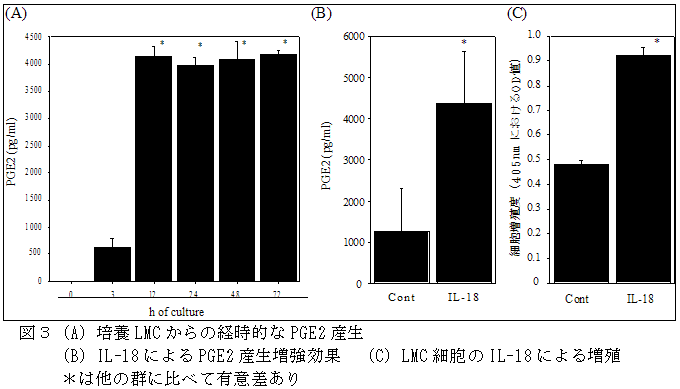 図3(A)培養LMCからの経時的なPGE2産生(B)IL-18によるPGE2産生増強効果(C)LMC細胞のIL-18による増殖