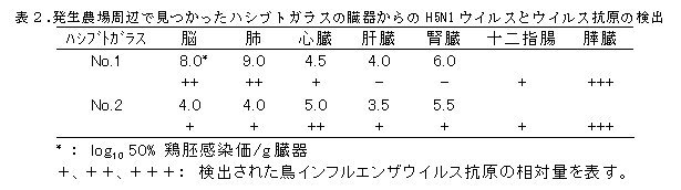 表2.発生農場周辺で見つかったハシブトガラスの臓器からのH5N1ウイルスとウイルス抗原の検出