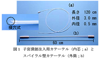 図1 子宮深部注入用カテーテル(内芯;a)とスパイラル型カテーテル(外筒;b)