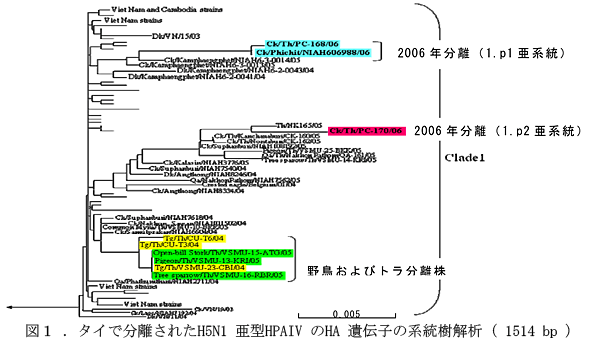 図1.タイで分離されたH5N1亜型HPAIVのHA遺伝子の系統樹解析(1514 bp )