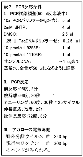 表2 PCR反応条件