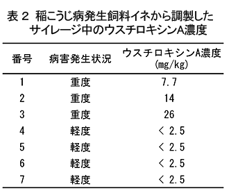 表2 稲こうじ病発生飼料イネから調製したサイレージ中のウスチロキシンA濃度