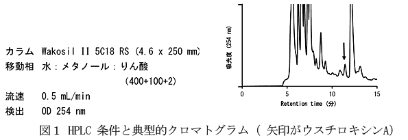 図1 HPLC条件と典型的クロマトグラム(矢印がウスチロキシンA)