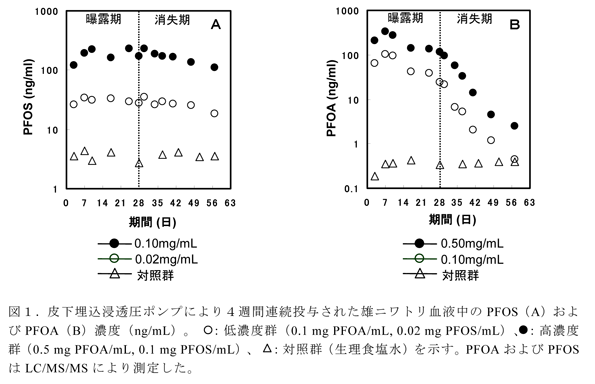 図1.皮下埋込浸透圧ポンプにより4週間連続投与された雄ニワトリ血液中のPFOS(A)およびPFOA(B)濃度(ng/mL)。  :低濃度群(0.1 mg PFOA/mL, 0.02 mg PFOS/mL)、:高濃度群(0.5 mg PFOA/mL, 0.1 mg PFOS/mL)、 :対照群(生理食塩水)を示す。PFOAおよびPFOSはLC/MS/MSにより測定した。