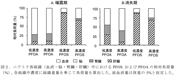 図2.ニワトリ体組織(血液・脳・腎臓・肝臓)中におけるPFOS およびPFOAの相対負荷量(%)。各組織中濃度に組織重量を乗じて負荷量を算出した。総血液量は体重の5%と仮定した。