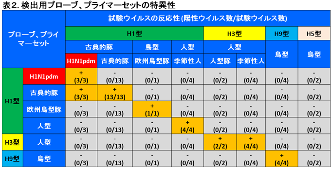 検出用プローブ、プライマーセットの特異性