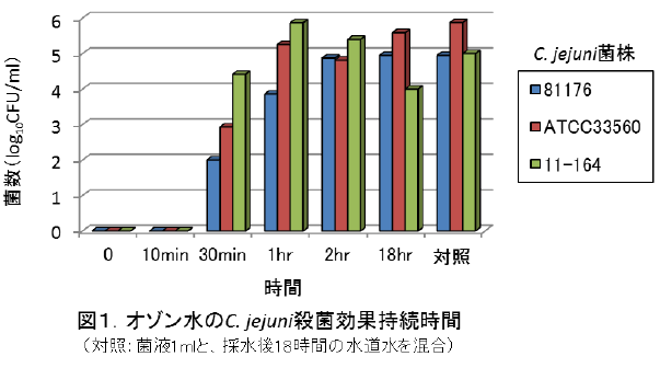 オゾン水のC.jejuni殺菌効果持続時間