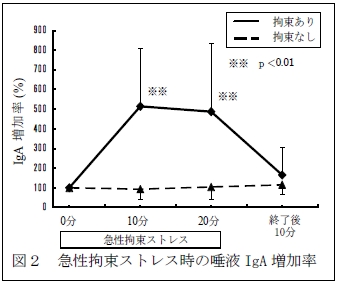 急性拘束ストレス時の唾液IgA 増加率