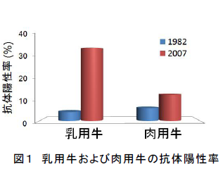 乳用牛および肉用牛の抗体陽性率