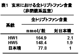 表1 玄米における全トリプトファン含量