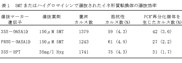 表1 5MTまたはハイグロマイシンで選抜されたイネ形質転換体の選抜効率 