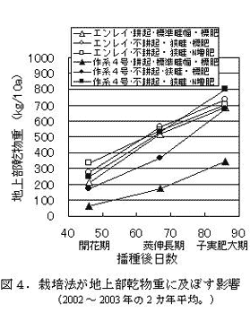 図4.栽培法が地上部乾物重に及ぼす影響