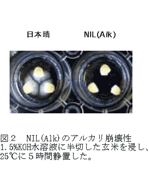 図2 NIL(Alk)のアルカリ崩壊性