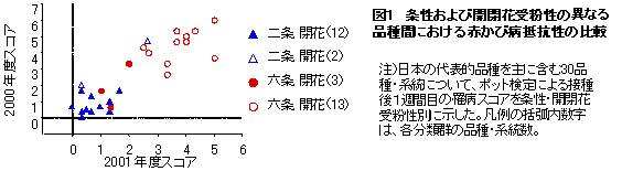 図1 条性および開閉花受粉性の異なる品種間における赤かび病抵抗性の比較