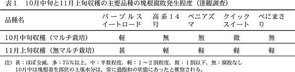 表1 10月中旬と11月上旬収穫の主要品種の塊根腐敗発生程度