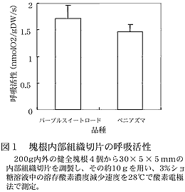 図1 塊根内部組織切片の呼吸活性