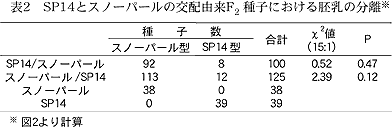 表2 SP14とスノーパールの交配由来F2 種子における胚乳の分離