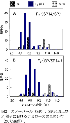 図2 スノーパール(SP)、SP14および F2 種子におけるアミロース含量の分布 (26°C登熟)。