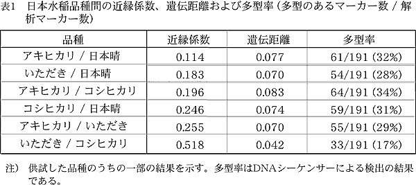 表1 日本水稲品種間の近縁係数、遺伝距離および多型率