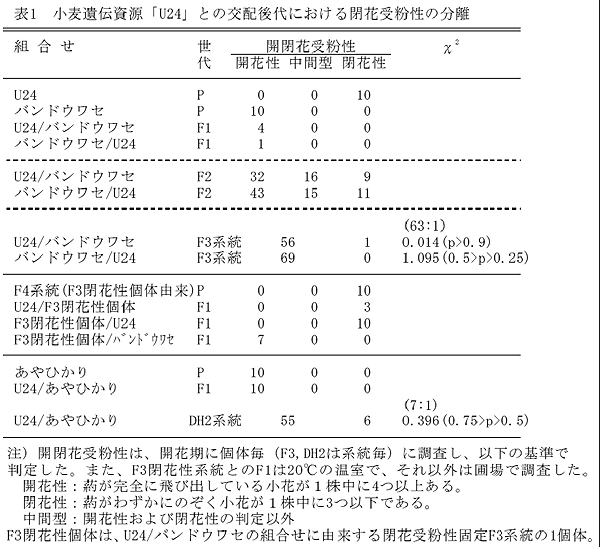 表1.小麦遺伝資源「U24」との交配後代における開花受粉性の分離