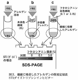 図2.繊維に吸着したアレルゲンの簡易定量法