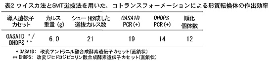 表2 ウイスカ法と5MT選抜法を用いた、コトランスフォーメーションによる形質転換体の作出効率