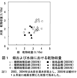 図1 畑および水田における乾物収量