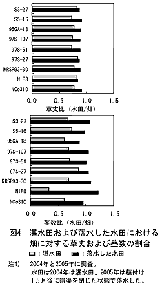 図4 湛水田および落水した水田における畑に対する草丈および茎数の割合