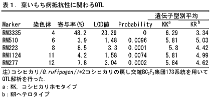 表1 葉いもち病抵抗性に関わるQTL