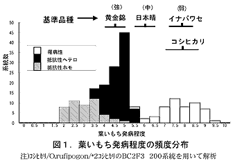 図1 葉いもち発病程度の頻度分布