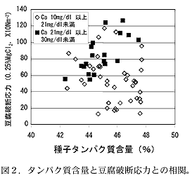 図2.タンパク質含量と豆腐破断応力との相関